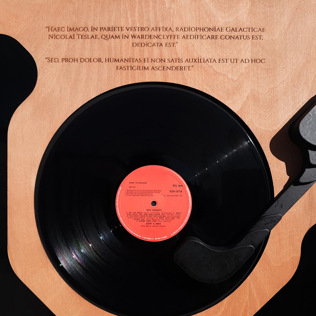 Celestial – Vinil Plak Detaylı Ahşap Duvar Dekoru