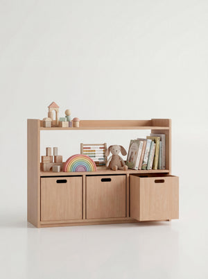 2-Tier Toy Organizer