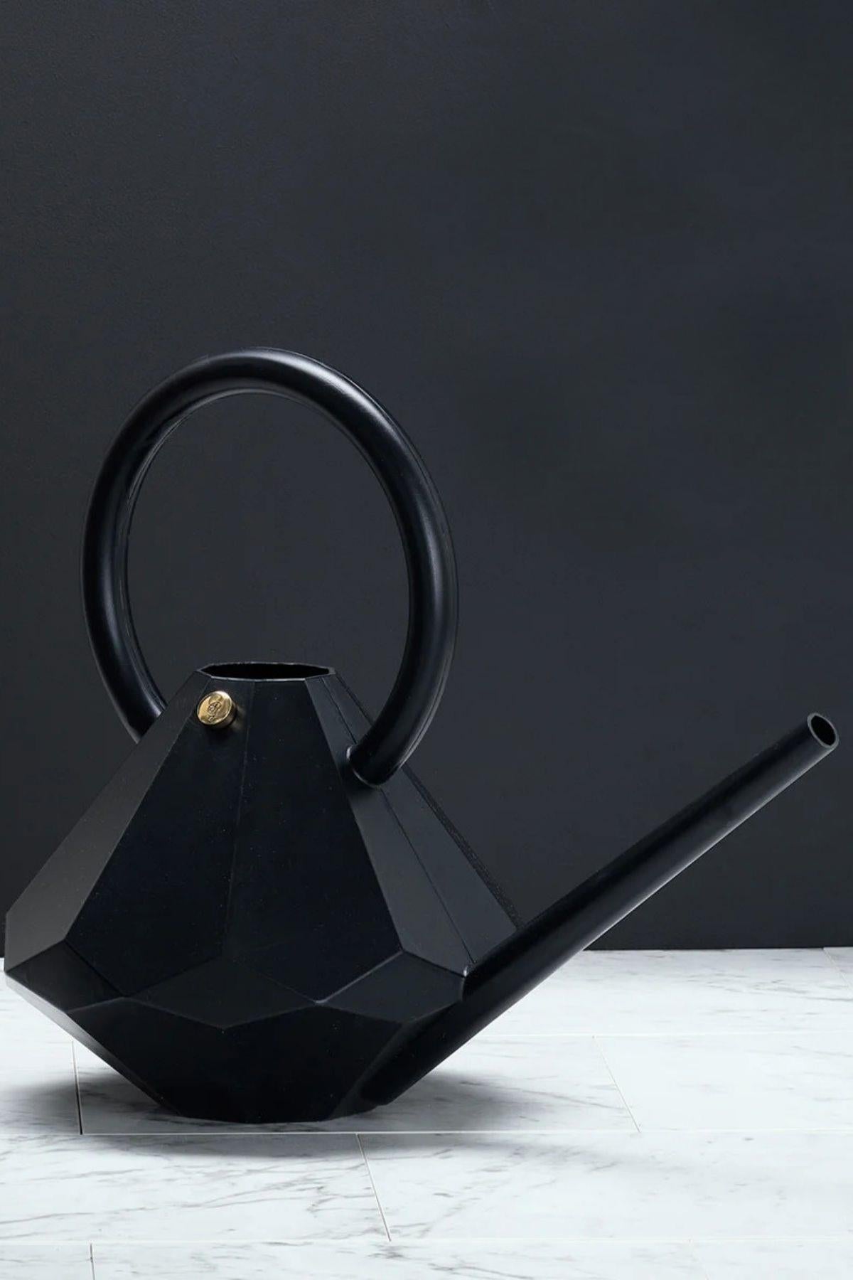 Garden Glory Bahçe Sulama Kabı 8 L - Onyx