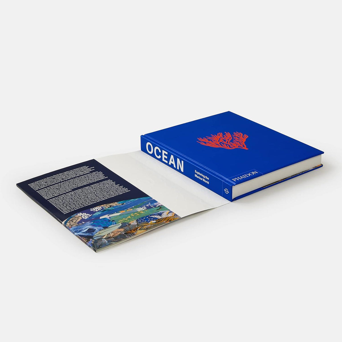 Ocean : Exploring The Marine World Kitap
