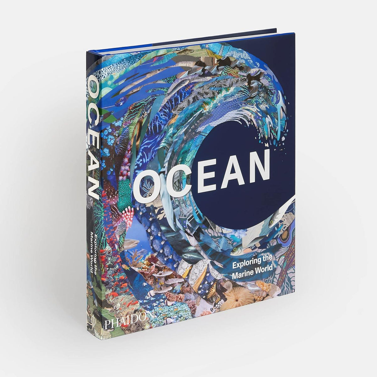 Ocean : Exploring The Marine World Kitap