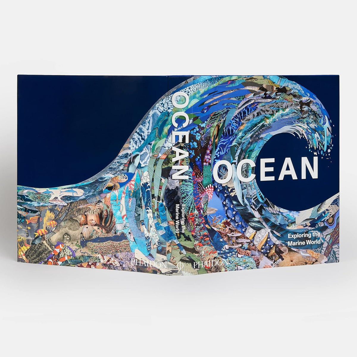 Ocean : Exploring The Marine World Kitap