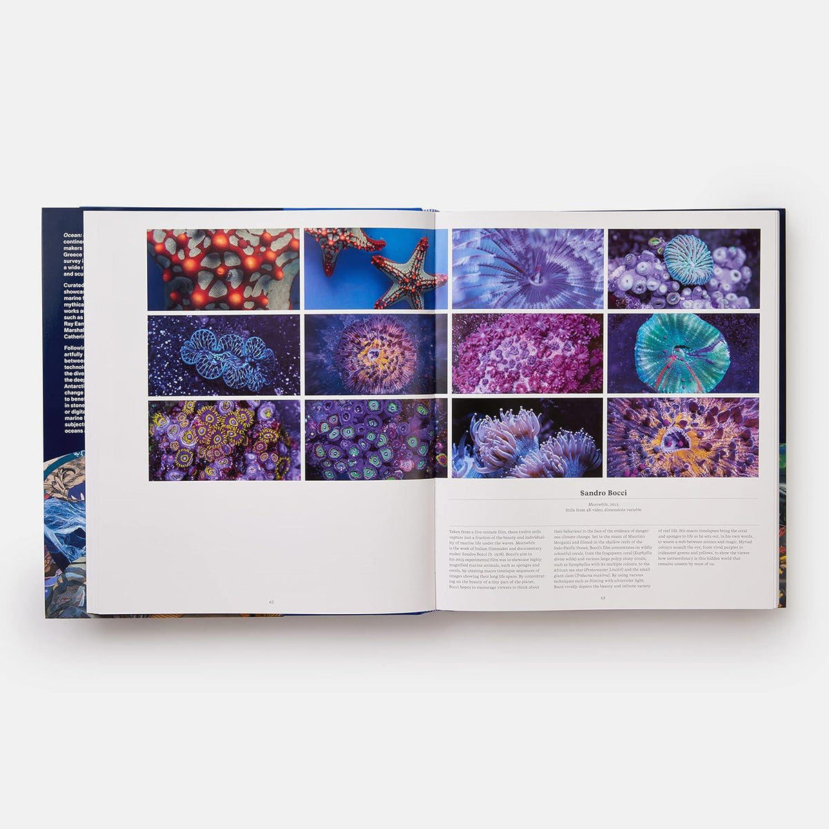 Ocean : Exploring The Marine World Kitap