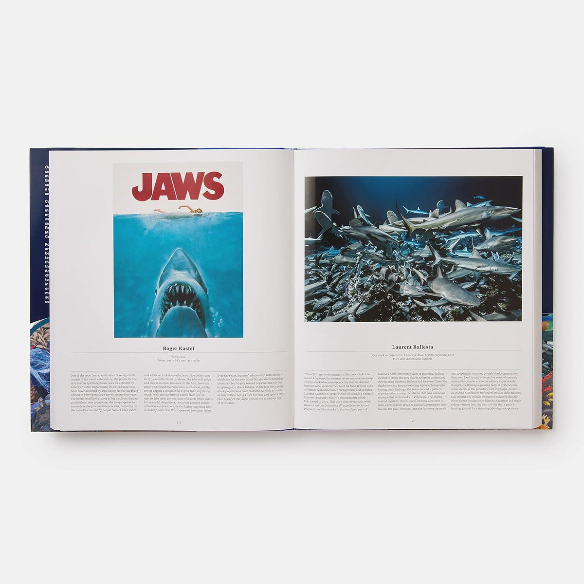 Ocean : Exploring The Marine World Kitap